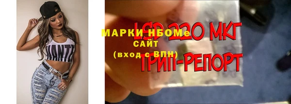 прущий лед Аркадак