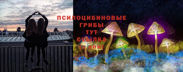 прущий лед Аркадак