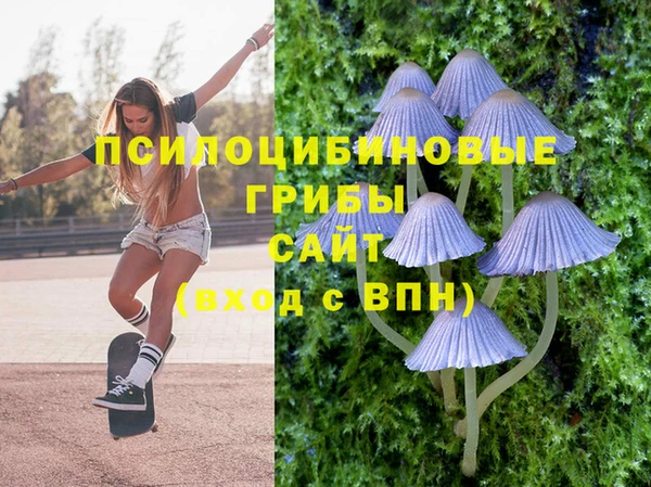 мдпв Баксан