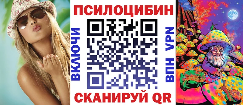 Галлюциногенные грибы Psilocybine cubensis Колпашево